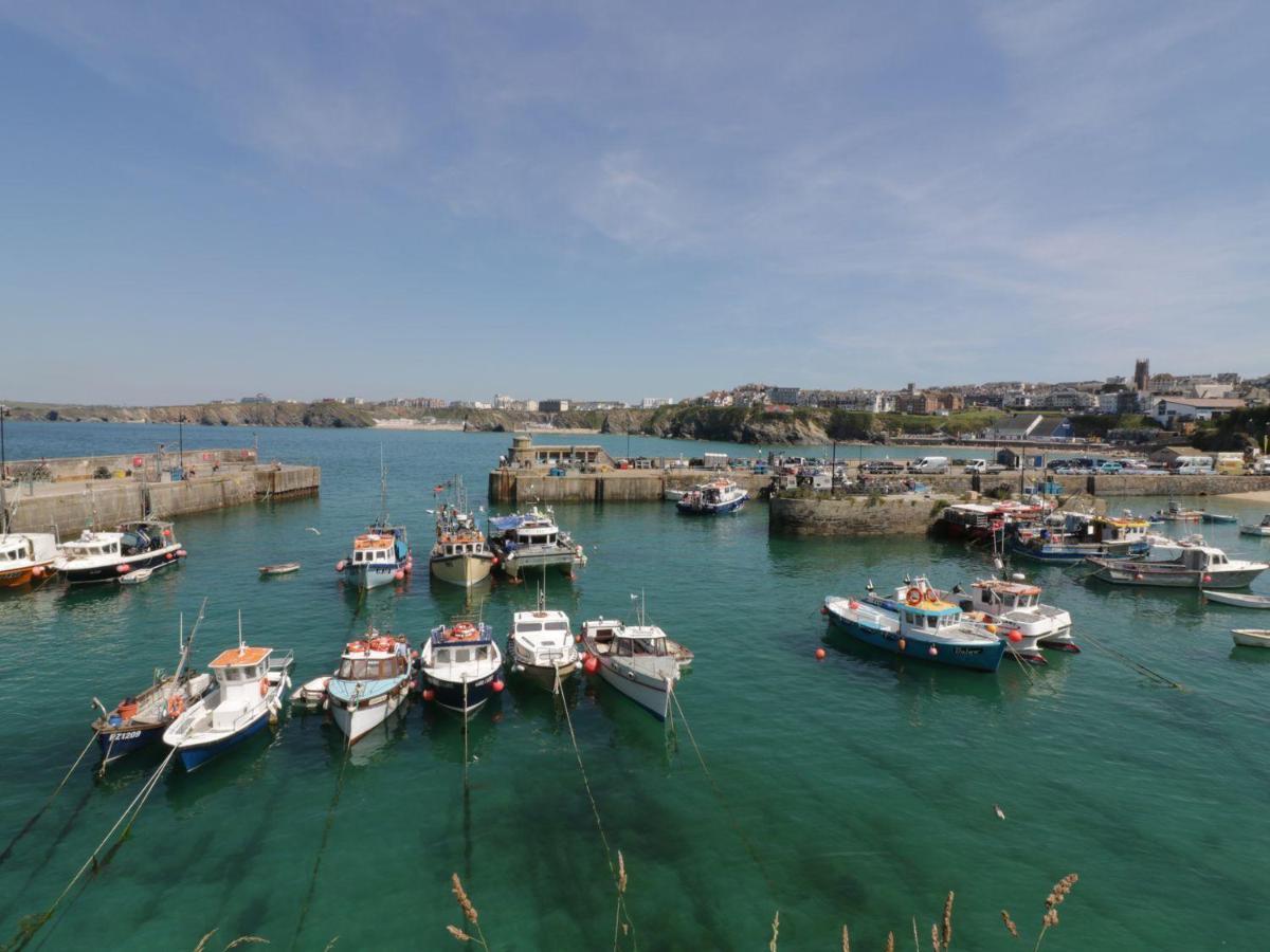 Flat 4 Διαμέρισμα New Quay Εξωτερικό φωτογραφία